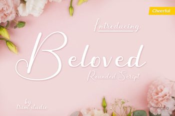 Beloved - Rounded Script Font