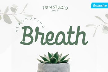 Breath - Casual Script Font