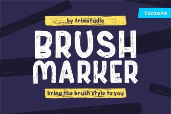 Brush Marker - Modern Brush Display Font