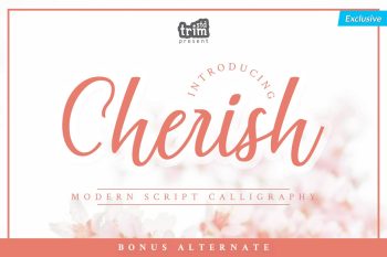 Cherish - Modern Script Calligraphy Font