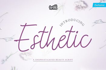 Esthetic - Shophisticated Beauty Script Font
