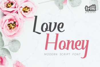 Love Honey - Romantic Modern Script Font