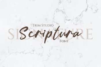 Scriptura - Elegant Handwritten Signature Script Font