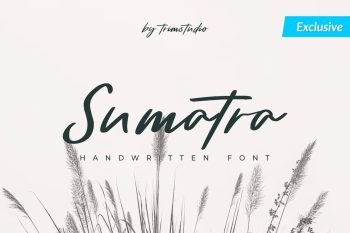 Sumatra - Beautiful Handwritten Script Font
