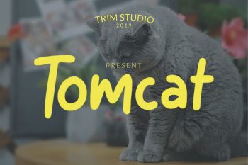 Tomcat - Cheerfull Day Font
